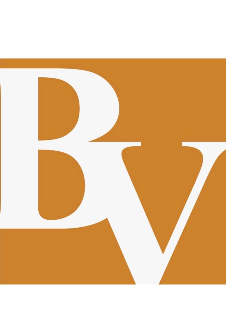Business Vision