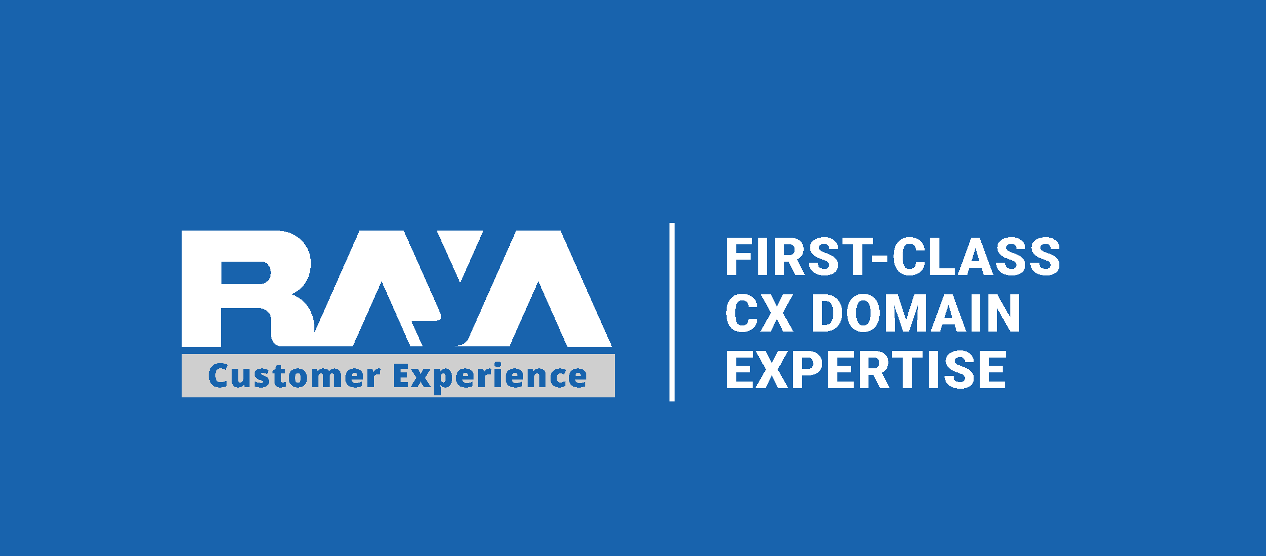 Raya Customer Experience - RCX